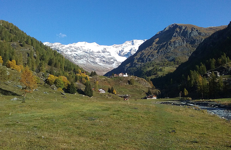 Alpenzu - Anderbatt