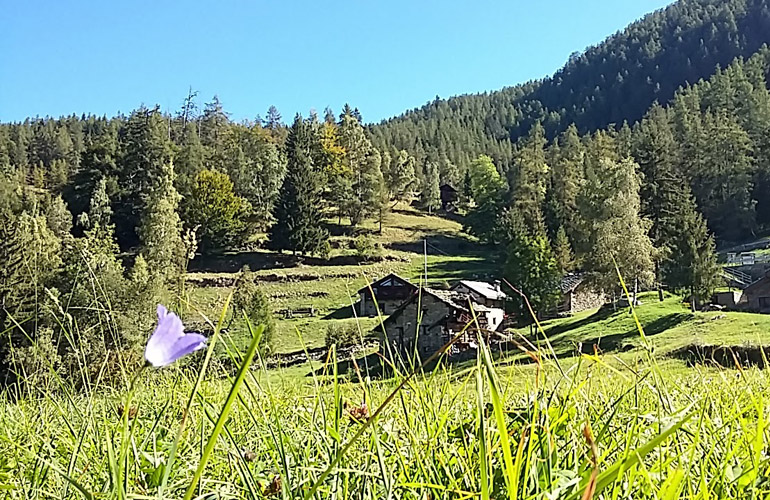 Le Soleil - La Barma