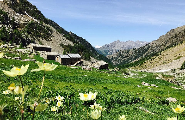 La Gruba - Villa Fridau