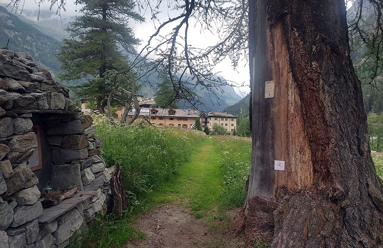 La Gruba - Villa Fridau