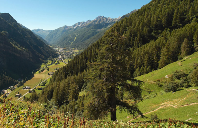 Rifugio Alpenzu