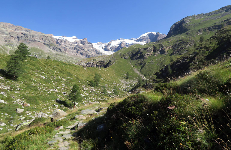 Lys-Ayas-Lys
